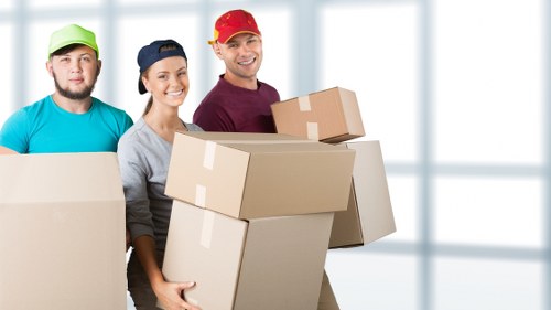 Illustration of accessible Newcross Storage website content